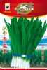 供应汉中雪韭王—韭菜种子