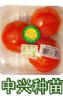 供应绿色无公害—有机番茄