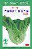 大坪埔包芯芥菜——芥菜类种子