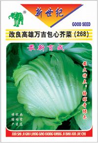 新世纪改良高雄万吉包心芥菜(268)——包心芥菜种子