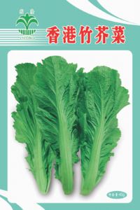 香港竹芥菜——芥菜类种子