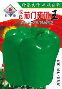 供应改良茄门甜椒王—甜椒种子