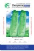 供应津绿75—白菜种子