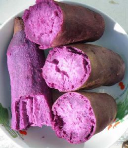 供应紫薯一级优质种薯种子