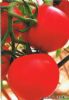 供应夏宝2006—番茄种子