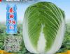 供应秦白78—白菜种子