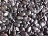 供应秋紫豆-紫架豆种子（散籽）