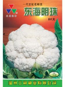 供应东海明珠80—花椰菜种子