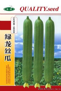 供应绿龙丝瓜—丝瓜种子