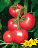 供应欧曼琦F1—番茄种子