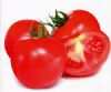 供应美国红之星--番茄种子