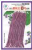 供应改良紫秋红6号——豇豆种子
