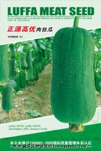 供应【正源】高优肉丝瓜（115）—丝瓜种子