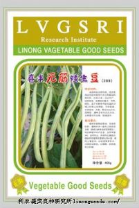 供应【正源】喜丰无筋矮生豆（389）—玉豆种子