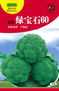 供应绿宝石60—青花菜种子