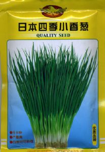葱种子——日本四季小香葱