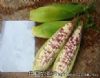 供应夏美糯4号（ZT-S80）—玉米种子