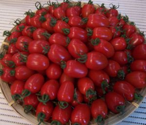 供应樱桃西红柿—优质蔬菜