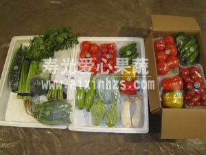 供应蔬菜礼盒
