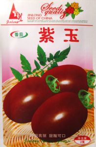 供应紫玉—番茄种子