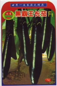 供应黑霸王长茄—茄子种子