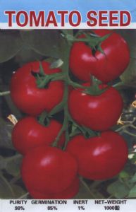 供应190大红—番茄种子