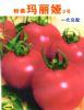 供应玛丽娅2号—番茄种子