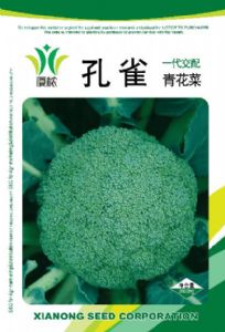 供应孔雀—青花菜种子