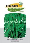 供应互信青豆（超级千斤王毛豆）—菜豆种子