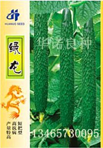 供应绿龙F1.188—黄瓜种子