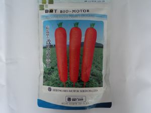 供应改良新黑田（精选）—胡萝卜种子