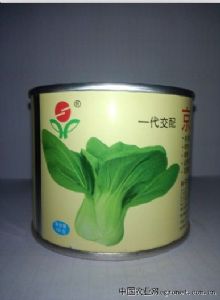 供应京冠青梗菜—白菜种子