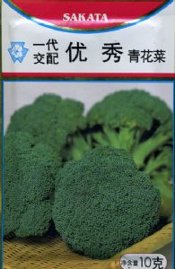 供应西蓝花—青花菜种子