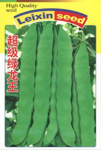 供应超级绿龙王—菜豆种子