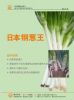 供应日本钢葱王—葱种子