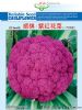 供应顺祺紫红花菜—花椰菜种子