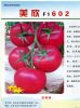 供应美欣F1602—番茄种子