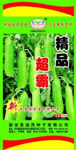 供应精品超霸——豌豆种子
