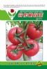 供应合作粉冠王—番茄种子
