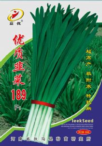 供应优质韭菜189F1种子