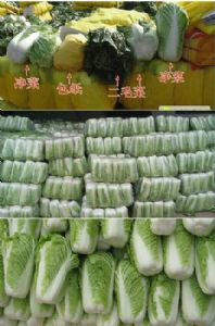 大量供应北京新三号白菜