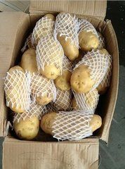 出售土豆