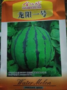 圆瓜之霸-龙阳一号西瓜种子