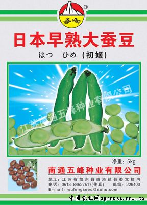 青刀豆种植技术