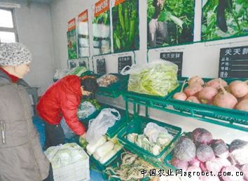 槟榔芋种植成本