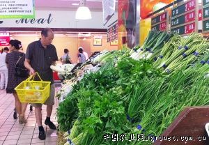 北京大白菜市场价格