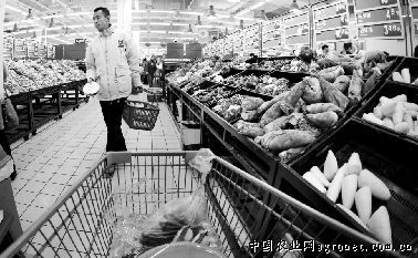 上海莲藕批发市场
