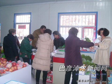 甘肃徐赵寨村的“蔬菜航母”