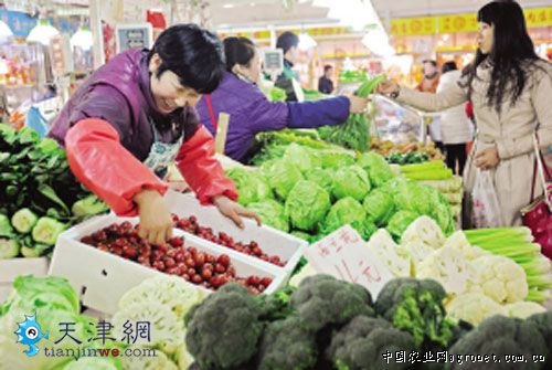 重庆梁平：打造蔬菜基地促农增收