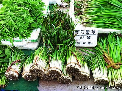 芦苇笋价格多少钱一斤